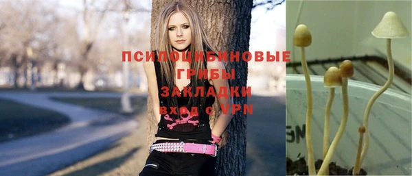 трава Кизел