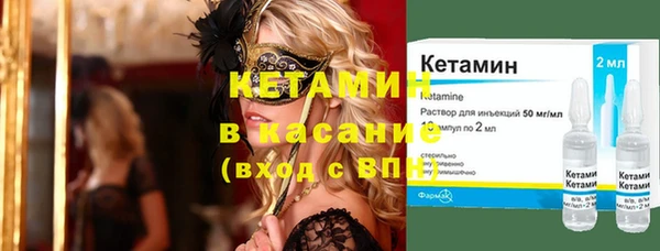 трава Кедровый