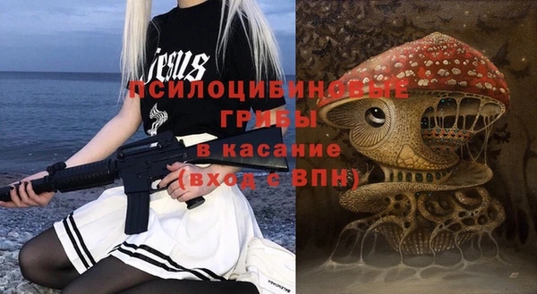 трава Кедровый