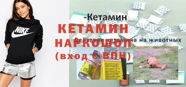 трава Кедровый