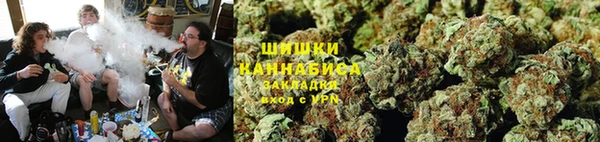 трава Кизел