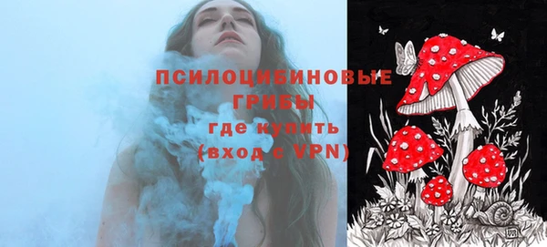 трава Кедровый