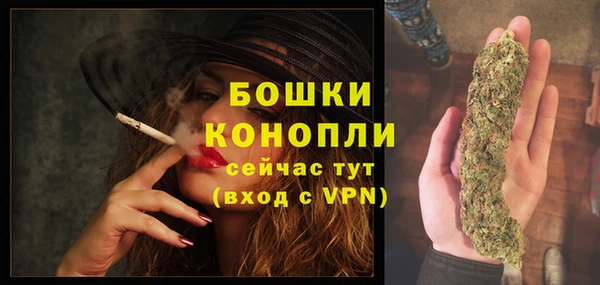трава Кизел